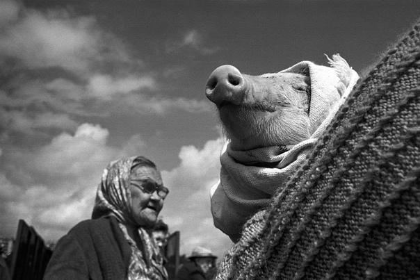 «Казань и казанцы в 1990-е», фотопроект Евгения Канаева Фотограф Евгений Канаев родился в 1955 году в городе Зеленодольске, в 38 км от Казани. С 16 лет он увлёкся фотографией и неоднократно