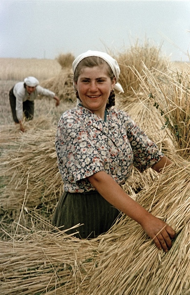 Светлый облик «строителя коммунизма» Снимки советских людей сделали Семена Фридлянда известным не только на территории СССР, но и за его пределами. Его работы полны для современного человека