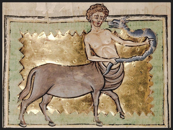 Бестиарий (манускрипты): Онокентавр Получеловек-полуосёл в средневековых бестиариях. Схож с древнегреческим мифологическим существом