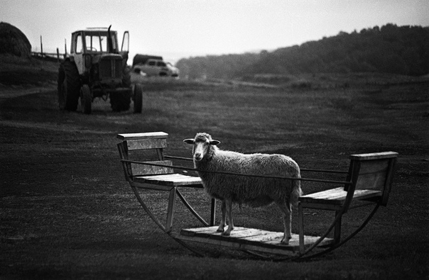 «Казань и казанцы в 1990-е», фотопроект Евгения Канаева Фотограф Евгений Канаев родился в 1955 году в городе Зеленодольске, в 38 км от Казани. С 16 лет он увлёкся фотографией и неоднократно