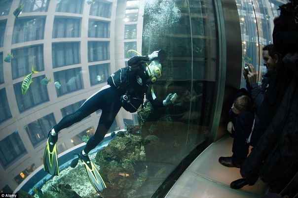 Лифт внутри аквариума В холле берлинского отеля Radisson Blu находится самый большой в мире цилиндрический аквариум — Aqua Dom. Аквадом построен в 2003 году. Его диаметр составляет 11 метров, а