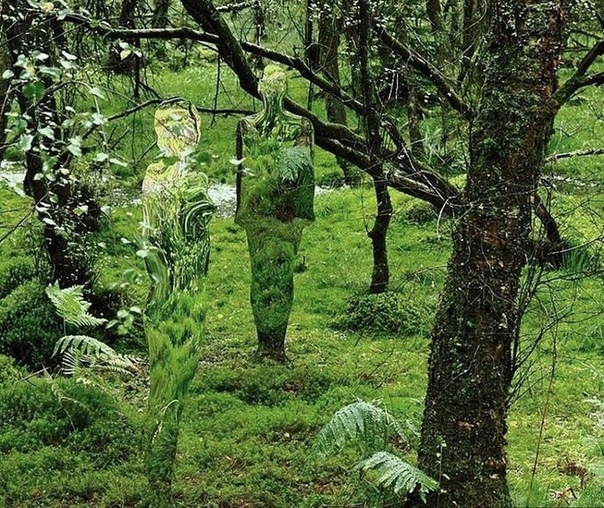 Стеклянные скульптуры-призраки в лесах Шотландии Роба Малхолланда В лесах Шотландии близ небольшого городка Аллоа можно встретить самых настоящих призраков. С виду они ничем не отличаются от