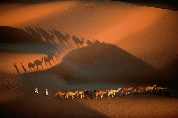 Аэрофотографиий Яна Артюса Бертрана Легендарный французский фотограф Yann Arthus Bertrand прославился своими уникальными аэрофотоснимками. Его работы отличаются интересными и провокационными