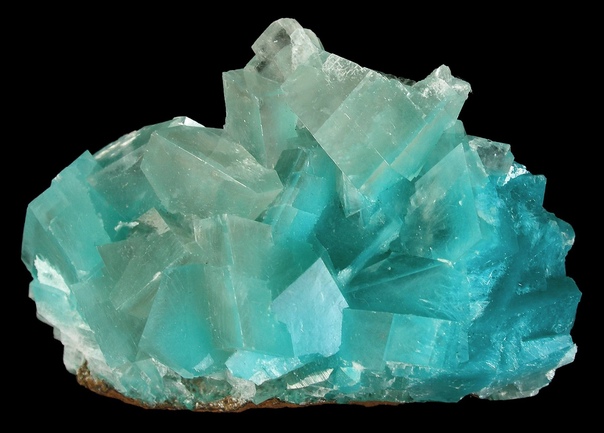 Кальцит- один из наиболее распространенных минералов на земле Этот минерал бывает самых разных цветов: от белого или бесцветного до красного, оранжевого, желтого, зеленого, синего, розового,