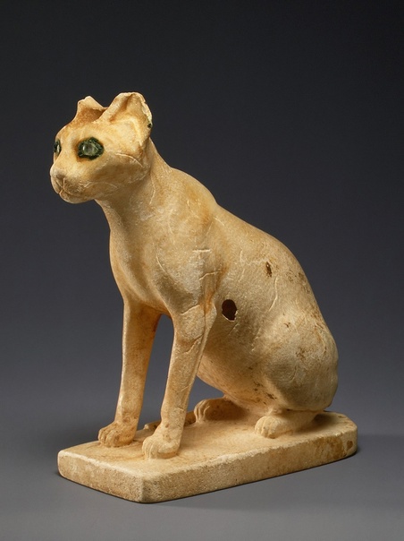Богиня Баст (Бастет) - покровительница кошек Древнеегипетская богиня радости, веселья и любви, женской красоты, плодородия, домашнего очага и кошек, которая изображалась в виде кошки или женщины