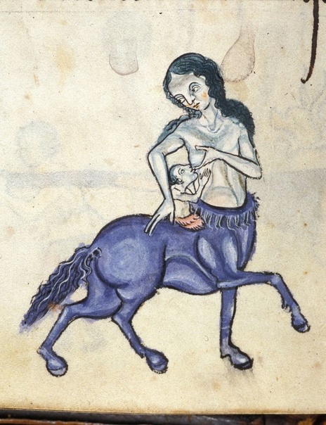 Бестиарий (манускрипты): Онокентавр Получеловек-полуосёл в средневековых бестиариях. Схож с древнегреческим мифологическим существом