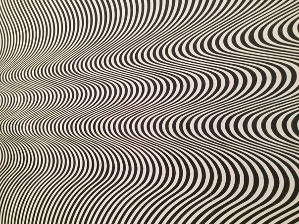 Бриджет Райли Bridget Riley, 24 апреля 1931 г.р. Англия) — одна из крупнейших представительниц оп-арта.