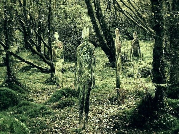 Стеклянные скульптуры-призраки в лесах Шотландии Роба Малхолланда В лесах Шотландии близ небольшого городка Аллоа можно встретить самых настоящих призраков. С виду они ничем не отличаются от
