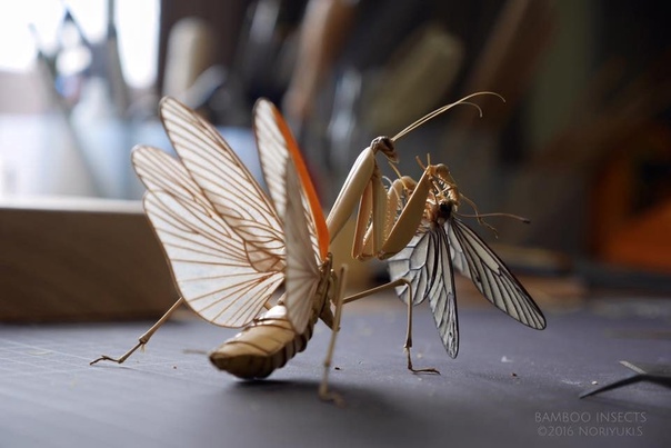 Невероятно реалистичные скульптуры насекомых из бамбука от Нориюки Саито Стараясь повторить все анатомические особенности необыкновенным мастерством, японский художник Noriyuki Saitoh создаёт