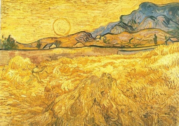 Оттенки желтого в творчестве Ван Гога Желтый цвет занимает отдельное место в живописи нидерландского постимпрессиониста. Он становится главенствующим в палитре художника, начиная с переезда в
