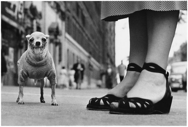 Ироничный Эллиотт Эрвитт Легендарный американский фотограф обладал редким даром ко всему относиться с чувством юмора. Наибольшую популярность ему принесли чёрно-белые снимки, выполненные в