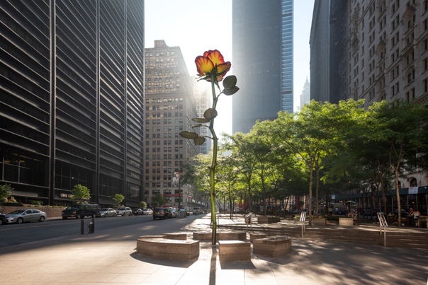 Розы Изы Генцкен Немецкий скульптор Иза Генцкен установила на Манхеттене гигантскую скульптуру желтой розы. Работа достигает длинны 8 метров. Она возвышается над парком Зуккоти, который ровно 10