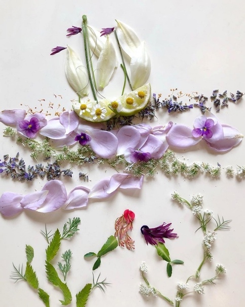 Удивительные картины из растительных материалов от Бриджит Бет Коллинз Американская художница Bridget Beth Collins создаёт произведения искусства, вдохновлённые природой и восхваляющие её