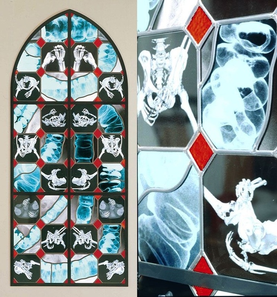 Жуткие витражи Вима Дельвуа Вим Дельвуа преобразует старые рентгеновские снимки в новые произведения искусства.Если просто посмотреть на эти витражи, то вообще не поймешь, что они какие-то
