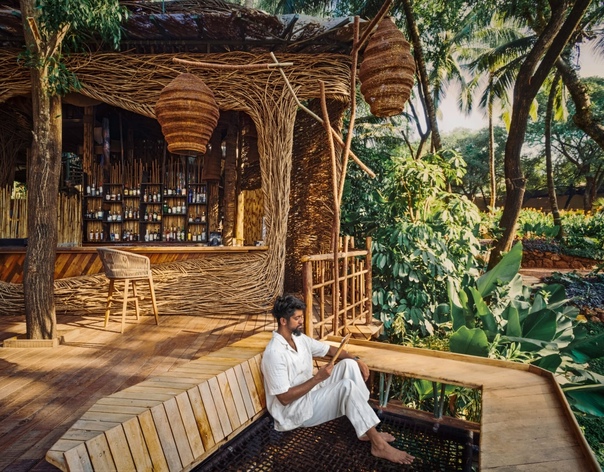 Два огромных гнезда устроились на вершине ресторана, сделанного из инвазивных кустарников в джунглях Северного Гоа Новый ресторан, расположенный в пышных тропиках Северного Гоа в Индии,