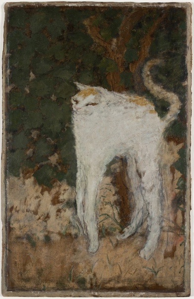 Пьер Боннар (1867-1947) Белый кот 1898