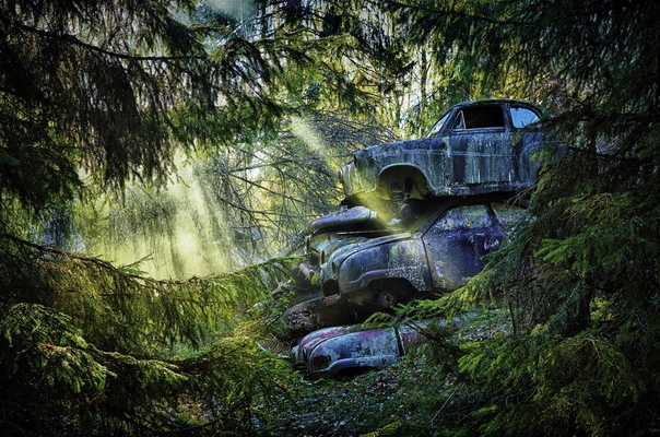 Кладбища автомобилей от фотографа Дитера Кляйна Немецкий фотограф Дитер Кляйн путешествует по миру, чтобы найти старинные автомобили, оставленные ржаветь в лиственных лесах и полях. На таких