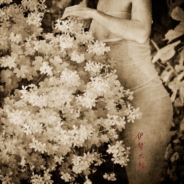 «Плавучий мир» Брижит Карнохан Однажды фотохудожница Brigitte Carnochan наткнулась на старый сборник японской поэзии. Он настолько поразил её, что она решила создать визуальные образы