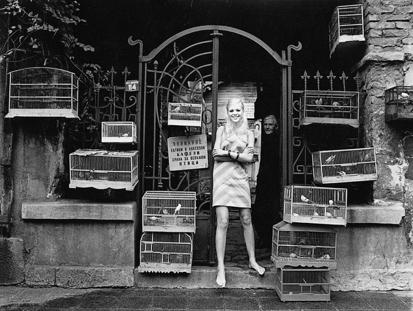 Гюнтер Цинт (1941) У фотографа своя точка зрения и он уверен, что содержание важнее формы.