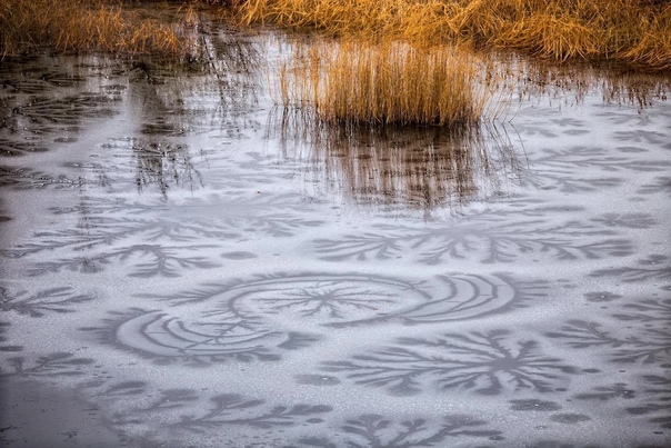 Зимние водоёмы как произведение искусства Одно и то же озеро летом и зимой - словно два разных водоёма, и невозможно сказать, какой из них красивее. Зима преображает озеро и его берега, с
