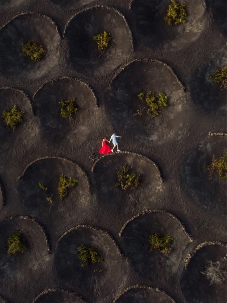 Лареаты конкурса Drone photo awards разных лет Ежегодный международный конкурс аэрофотосъёмки собирает тысячи участников из разных стран мира. Профессионалы и любители присылают свои фотографии,