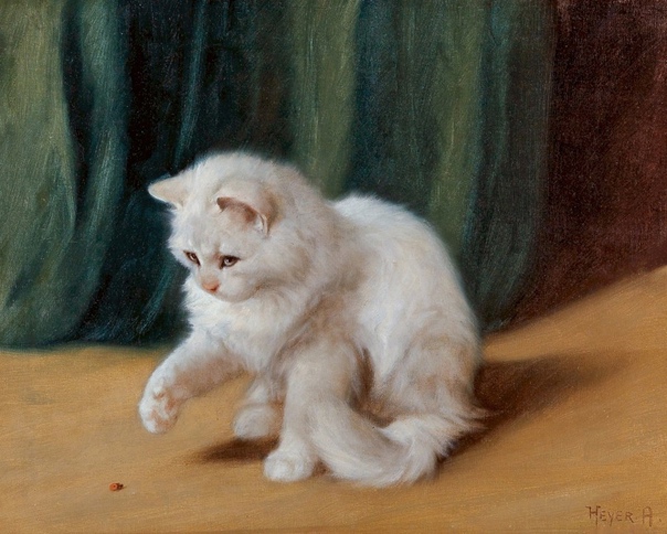 Ангорские кошки Артура Хейера Немецко-венгерский художник Артур Хейер (1872 - 1931) так самозабвенно писал котов, что получил прозвище Cat Heyer. Художественное образование он получил еще в