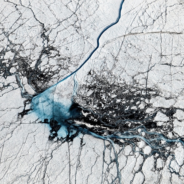 Хрупкая красота тающих арктических льдов Талантливый фотограф и художник Тимо Либер (Timo Lieber) проживает в Лондоне. Он решил исследовать последствия потепления в Арктике и запечатлеть все на