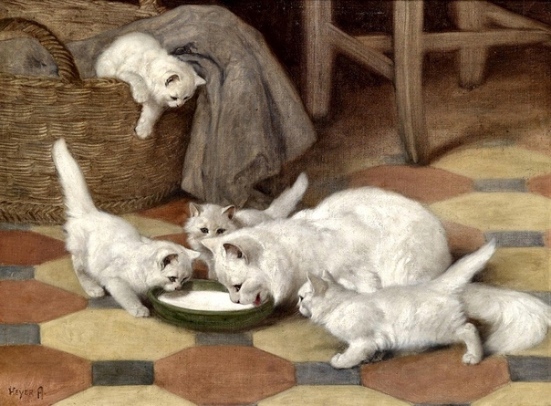 Ангорские кошки Артура Хейера Немецко-венгерский художник Артур Хейер (1872 - 1931) так самозабвенно писал котов, что получил прозвище Cat Heyer. Художественное образование он получил еще в