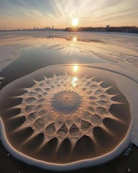 Река Сонхуа в Китае, где вода замерзая расцветает фантастическими картинами с кристальной геометрией Ледники Сонхуа образуются, когда поверхность реки замерзает, создавая слой льда, который