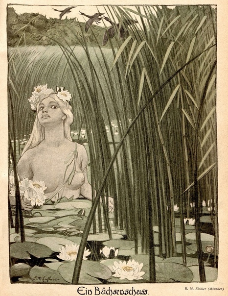 Жуткие русалки немецкого художника-символиста Рейнхольда Макса Айхлера 1. Водяные лилии. Обложка журнала «Jugend», 1901 г. № 27.2. В нашем колодце живет русалка! Рисунок из журнала «Jugend»,