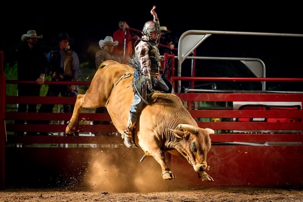 Родео — традиционный вид спорта в Северной Америке, исторически сложившийся в среде мексиканских и американских ковбоев Родео включает в себя несколько видов состязаний: скачки на диком быке, на